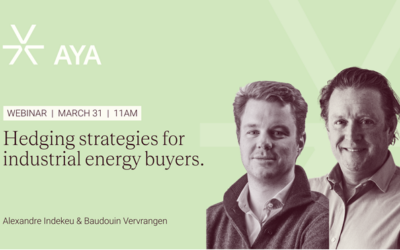 Webinar Replay: Don’t Let the Market Control Your Energy Budget