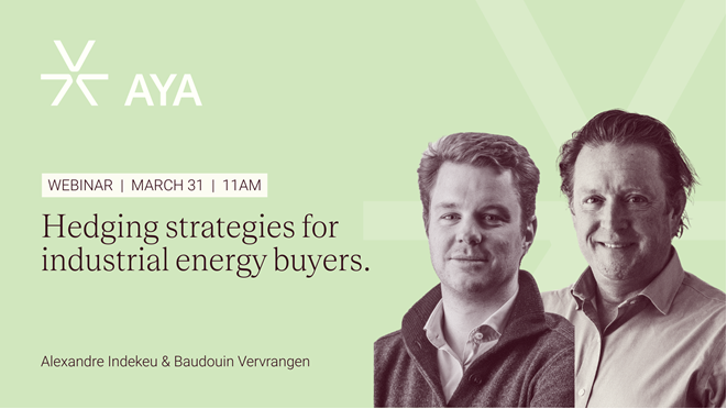 Webinar Replay: Don’t Let the Market Control Your Energy Budget